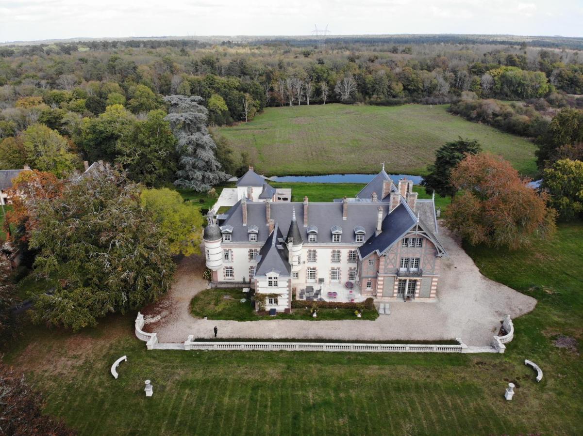 Chateau De La Faye Menetreol-sur-Sauldre Экстерьер фото